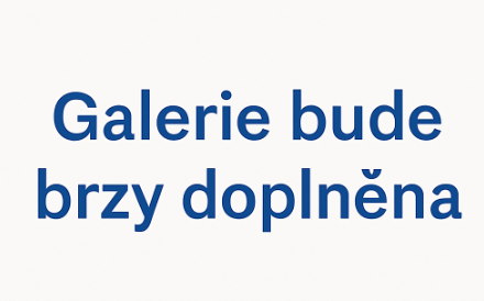 Snímek obrazovky 2025-08-04 123105.png